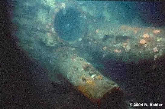 探索新员工与老员工应该怎样相处知识星球,深入了解新员工与老员工应该怎样相处相关信息