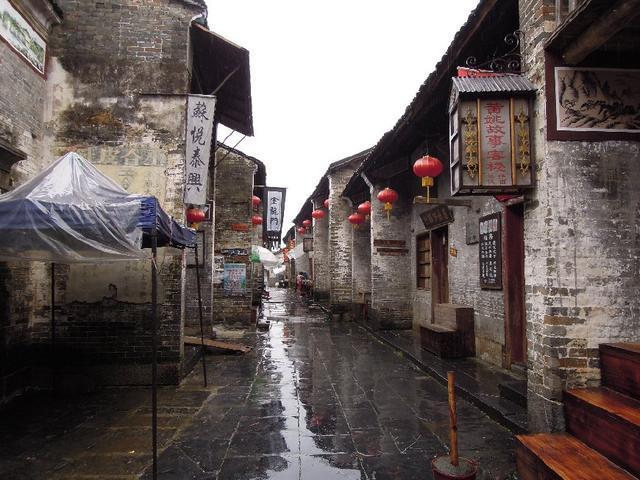 春雨直播app